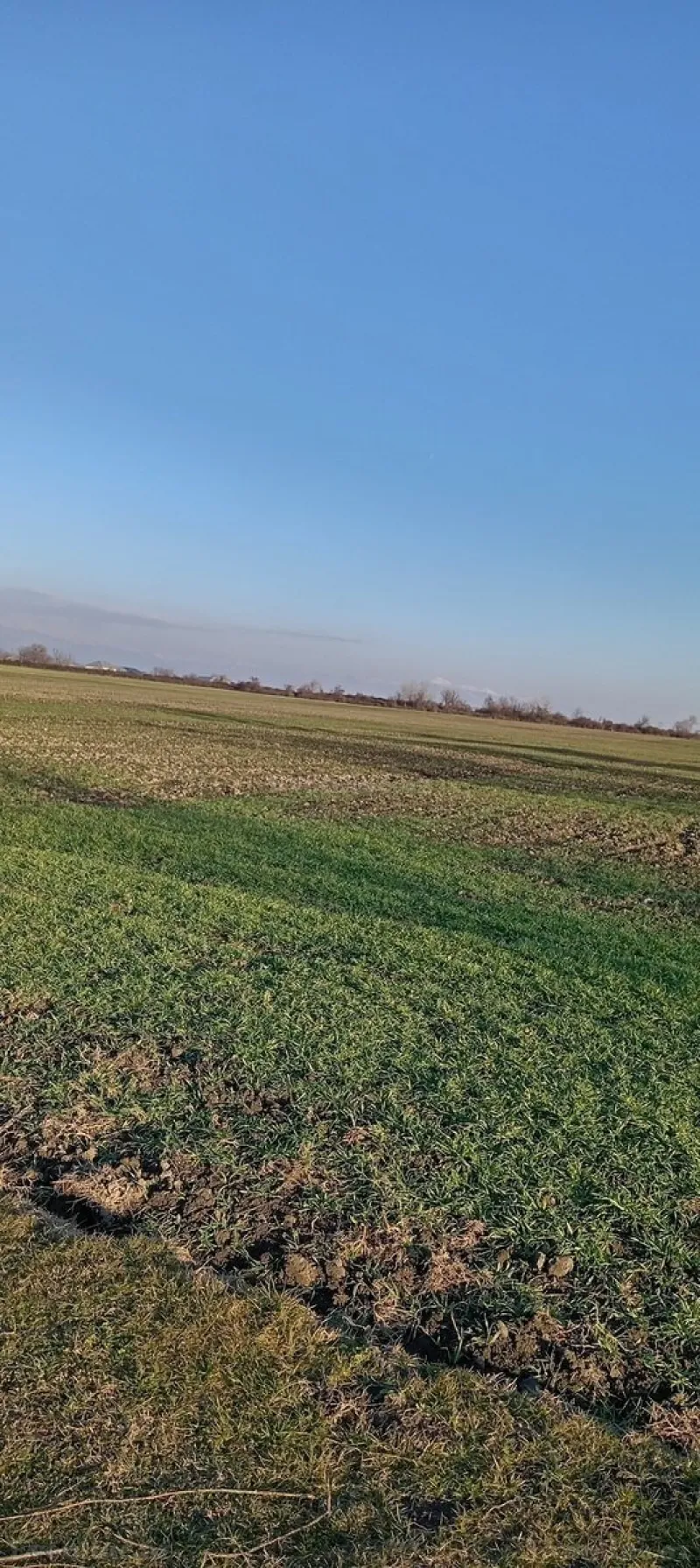 Satılır Torpaq 1.7 sot Qəbələ - şəkil 3