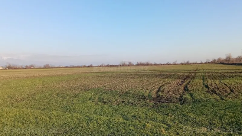 Satılır Torpaq 1.7 sot Qəbələ - şəkil 4