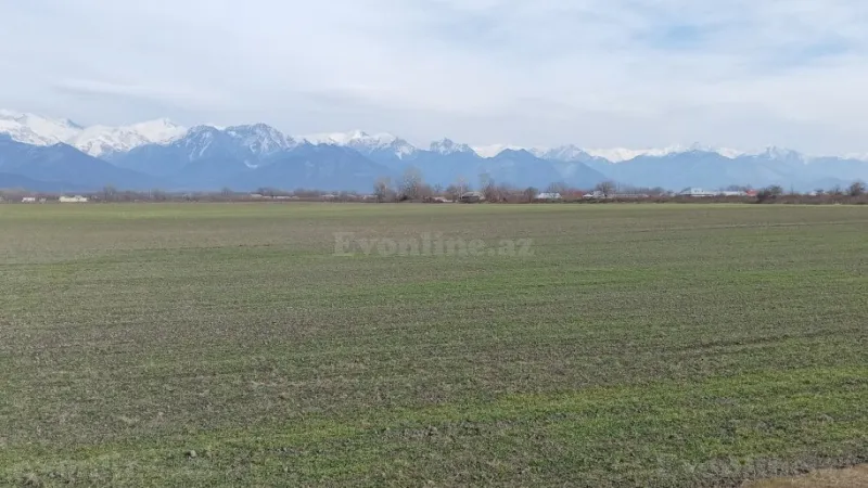 Satılır Torpaq 1.7 sot Qəbələ - şəkil 5