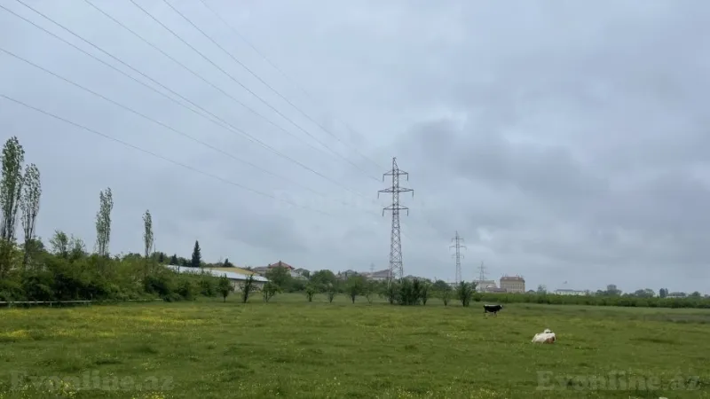 Satılır Torpaq 51 sot Quba - şəkil 2