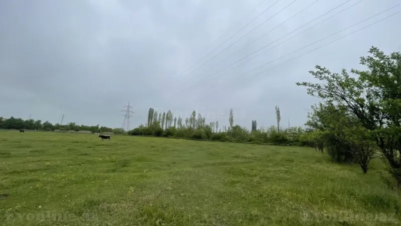 Satılır Torpaq 51 sot Quba - şəkil 3