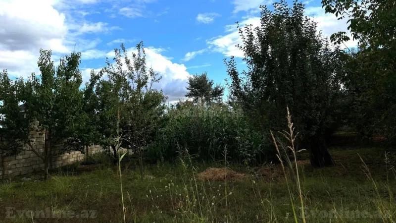 Satılır Torpaq 15 sot İsmayıllı - şəkil 2
