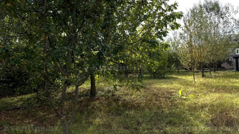 Satılır Torpaq 15 sot İsmayıllı - şəkil 3