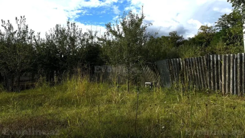 Satılır Torpaq 15 sot İsmayıllı - şəkil 4