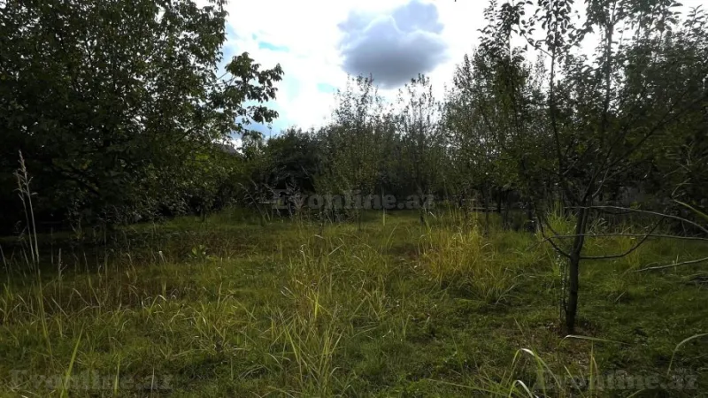 Satılır Torpaq 15 sot İsmayıllı - şəkil 5