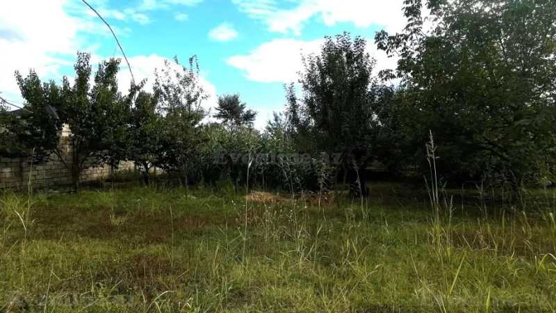 Satılır Torpaq 15 sot İsmayıllı - şəkil 6