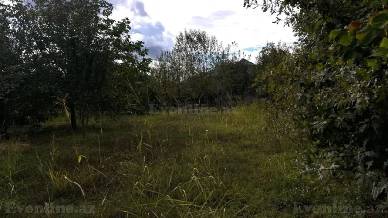 Satılır Torpaq 15 sot İsmayıllı - şəkil 7