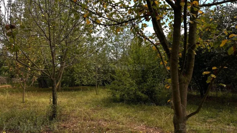 Satılır Torpaq 15 sot İsmayıllı - şəkil 8