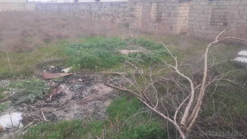 Satılır Torpaq 12 sot Bilgəh - şəkil 2