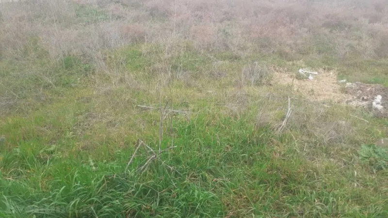 Satılır Torpaq 12 sot Bilgəh - şəkil 3