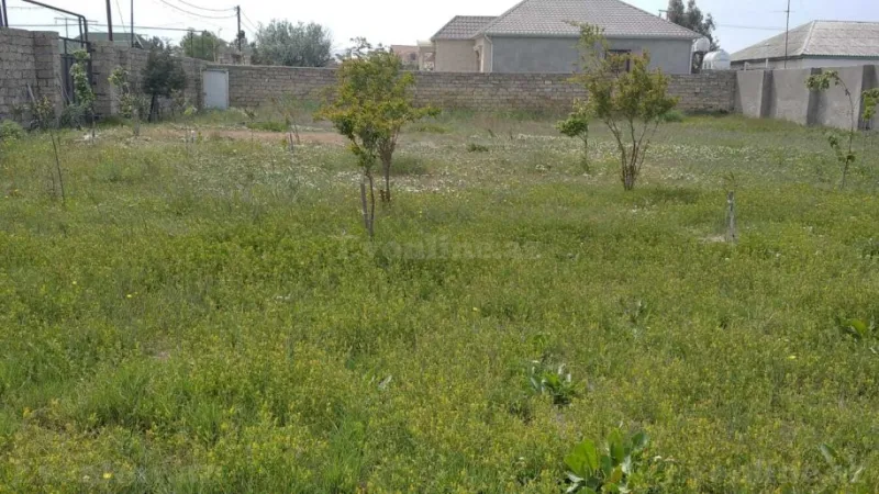 Satılır Torpaq 12 sot Bilgəh - şəkil 7