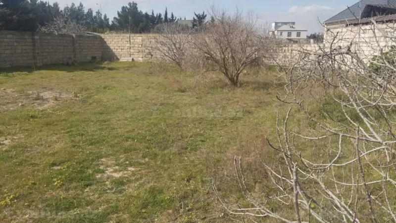 Satılır Torpaq 11 sot Bilgəh - şəkil 4