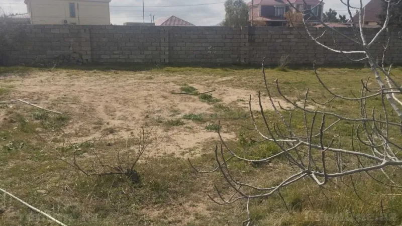 Satılır Torpaq 11 sot Bilgəh - şəkil 5