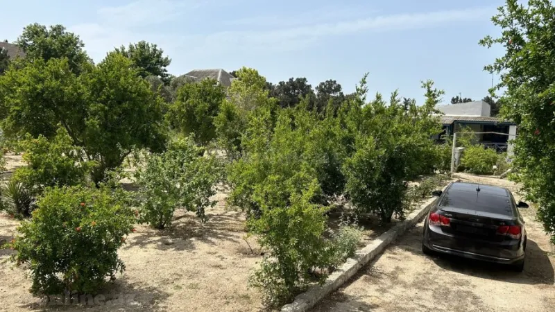 Satılır Torpaq 20 sot Bilgəh - şəkil 2