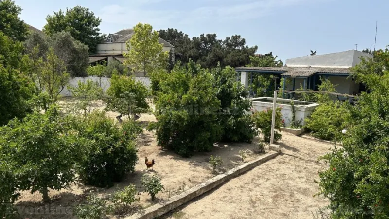 Satılır Torpaq 20 sot Bilgəh - şəkil 4