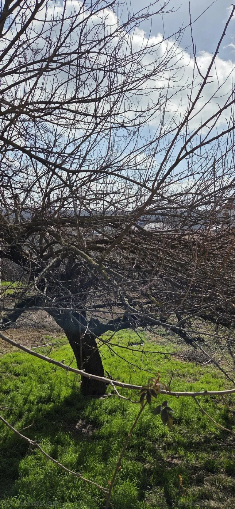 Satılır Torpaq 7 sot Qusar - şəkil 3