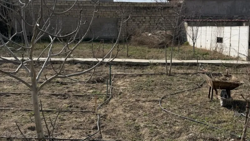 Satılır Torpaq 6 sot Novxanı