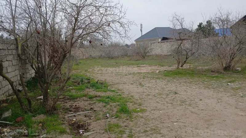 Satılır Torpaq 12 sot Buzovna - şəkil 4