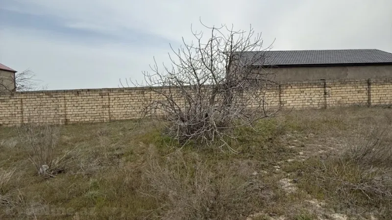 Satılır Torpaq 10 sot Novxanı - şəkil 2