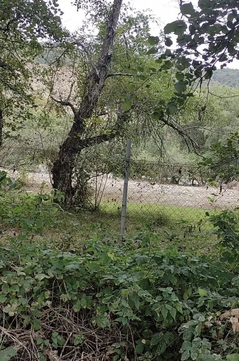 Satılır Torpaq 9 sot Qusar - şəkil 2