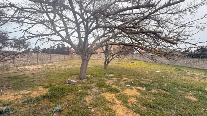 Satılır Torpaq 12 sot Xəzər r.