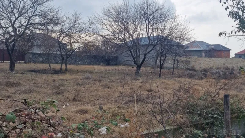Satılır Torpaq 20 sot Qax - şəkil 2