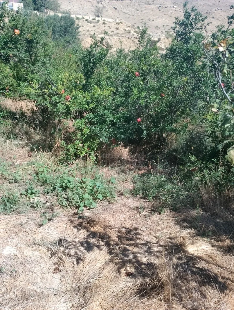 Bakı, Qaradağ r., Lökbatanda torpaq satılır