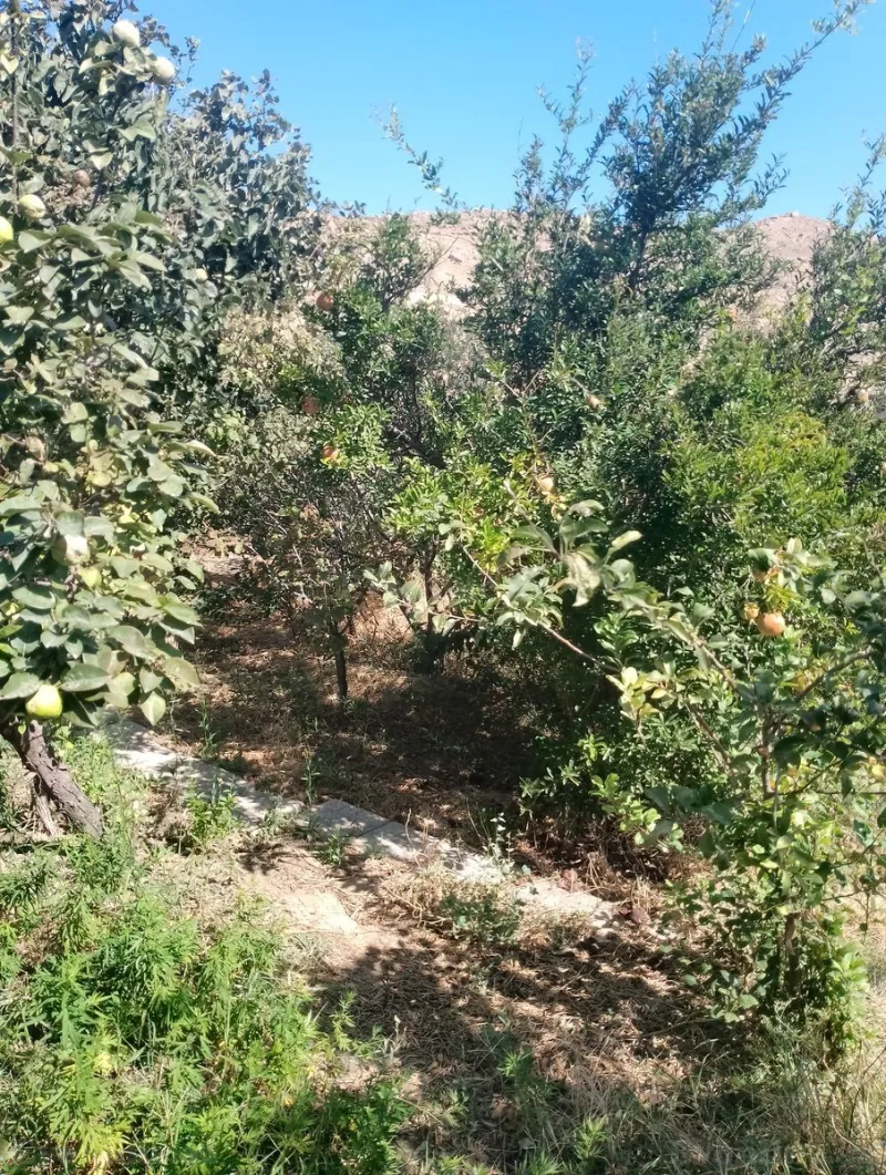 Satılır Torpaq 4 sot Lökbatan - şəkil 2