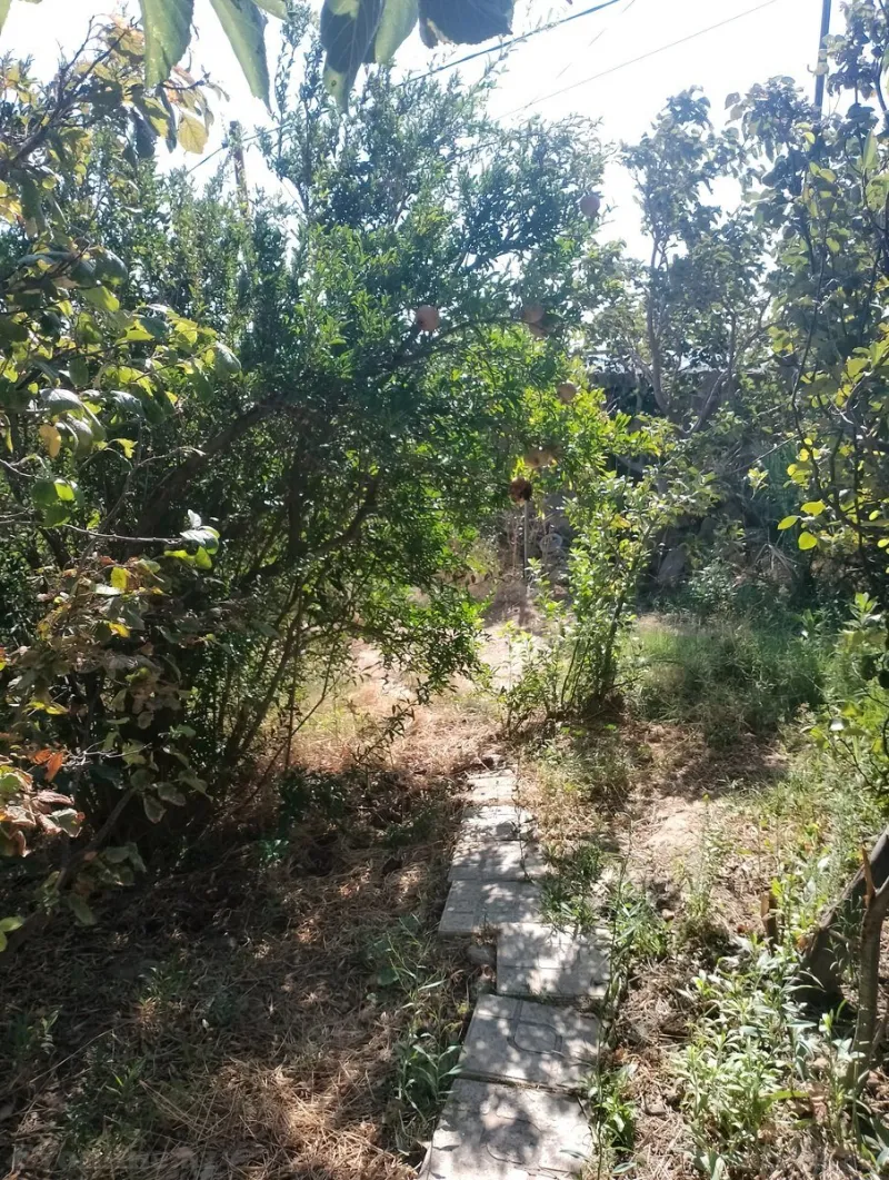 Satılır Torpaq 4 sot Lökbatan - şəkil 3