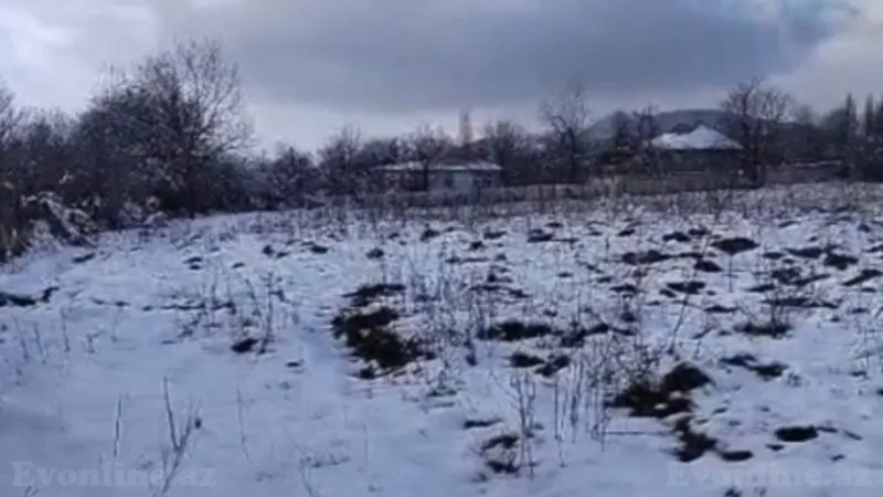 Satılır Torpaq 35 sot Qəbələ