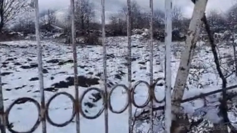 Satılır Torpaq 35 sot Qəbələ - şəkil 2