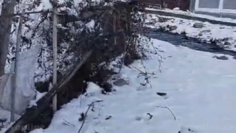 Satılır Torpaq 35 sot Qəbələ - şəkil 3