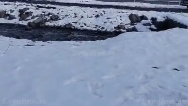 Satılır Torpaq 35 sot Qəbələ - şəkil 4