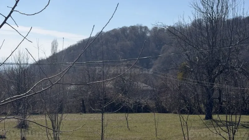 Satılır Torpaq 48 sot Qəbələ - şəkil 4