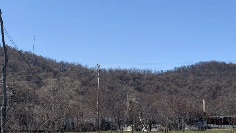 Satılır Torpaq 48 sot Qəbələ - şəkil 5