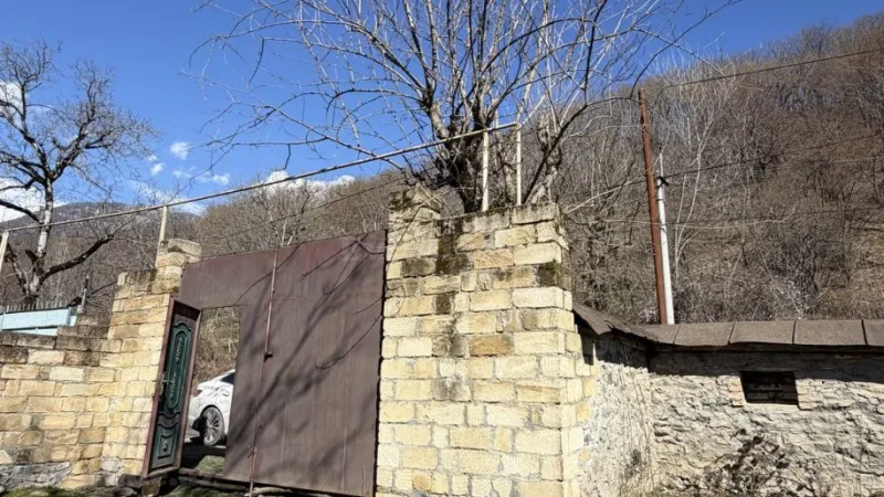 Satılır Torpaq 5 sot Qəbələ - şəkil 2