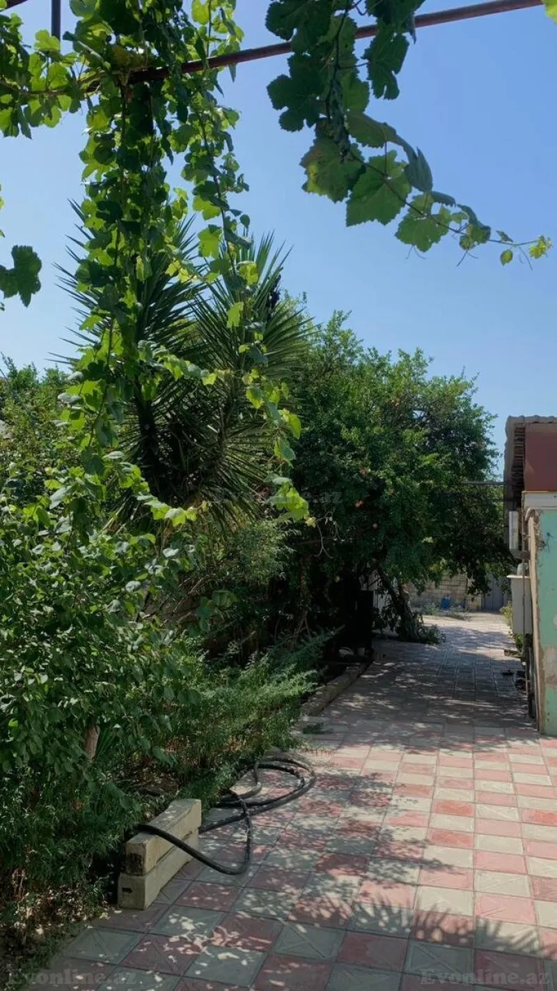 Satılır Torpaq 6 sot Əhmədli - şəkil 3