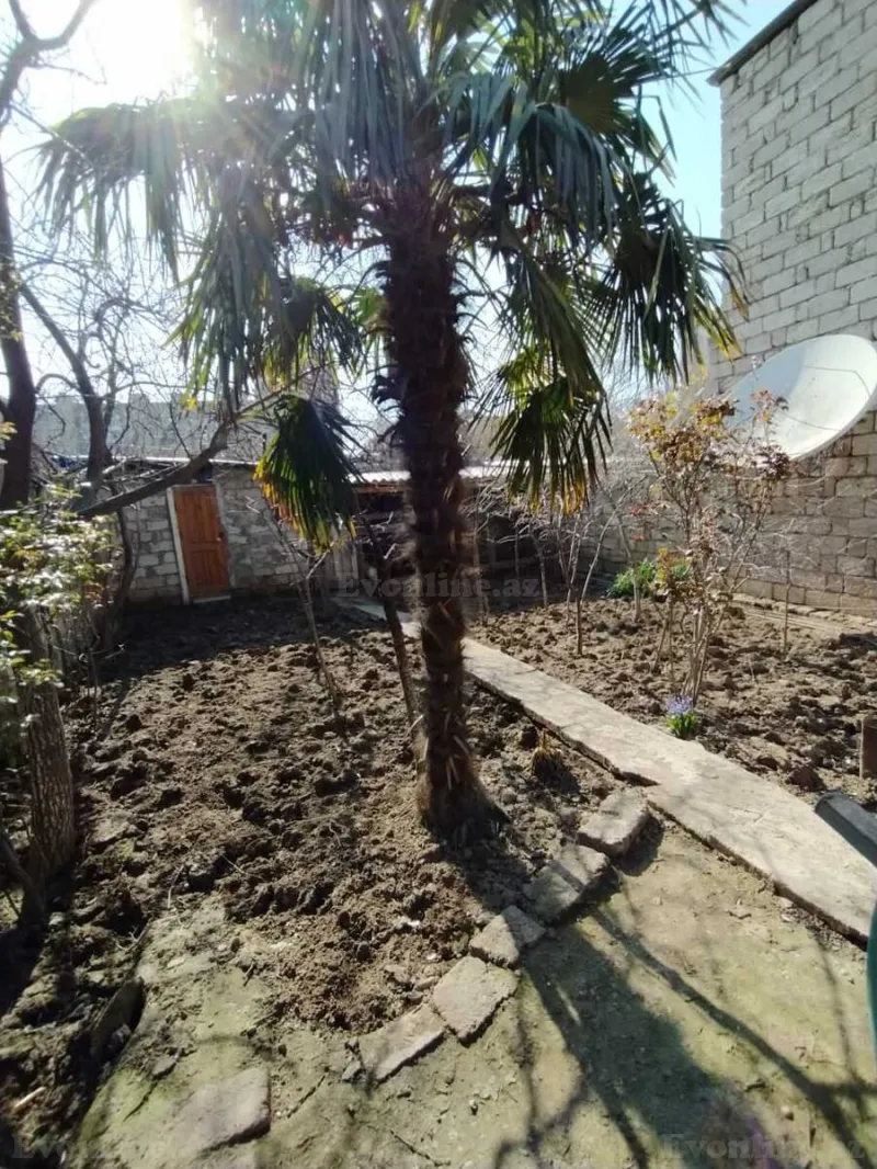 Satılır Torpaq 6 sot Sabunçu r. - şəkil 2