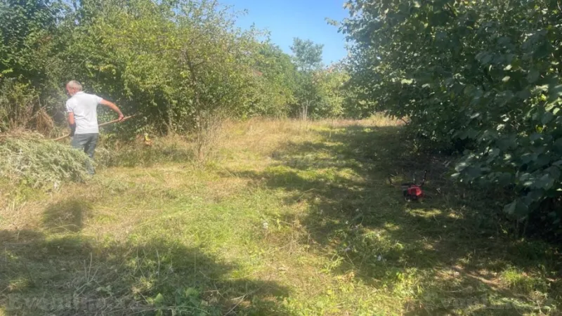 Satılır Torpaq 8 sot Quba - şəkil 4