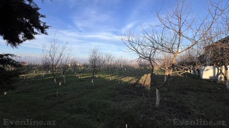 Satılır Obyekt 100 m² Şamaxı - şəkil 9