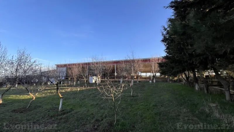 Satılır Obyekt 100 m² Şamaxı - şəkil 10