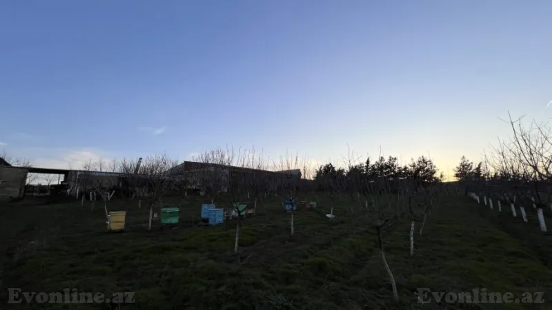 Satılır Obyekt 100 m² Şamaxı - şəkil 24