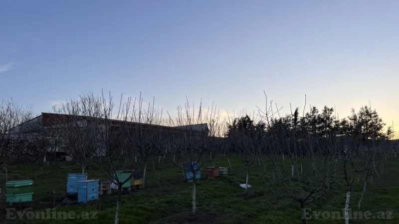 Satılır Obyekt 100 m² Şamaxı - şəkil 25