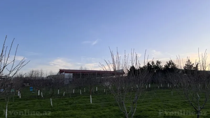 Satılır Obyekt 100 m² Şamaxı - şəkil 26