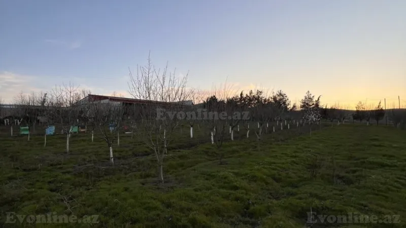 Satılır Obyekt 100 m² Şamaxı - şəkil 27