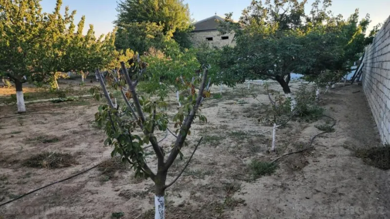 Satılır Torpaq 24 sot Sabunçu r.