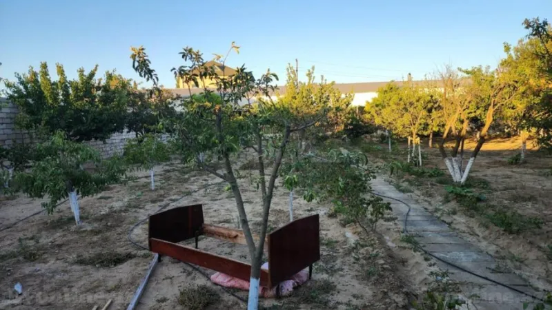 Satılır Torpaq 24 sot Sabunçu r. - şəkil 2