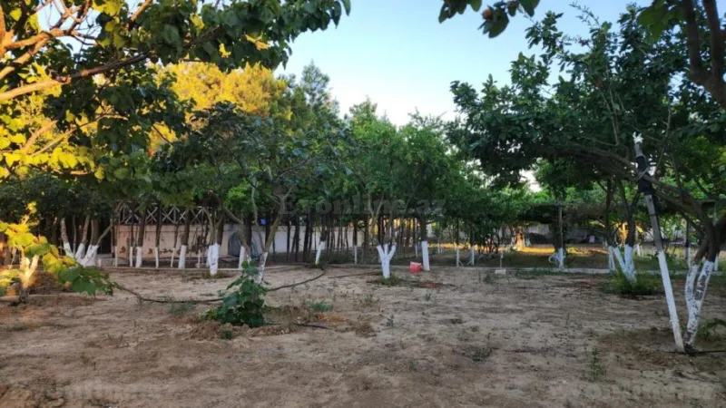 Satılır Torpaq 24 sot Sabunçu r. - şəkil 5