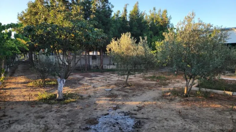 Satılır Torpaq 24 sot Sabunçu r. - şəkil 6