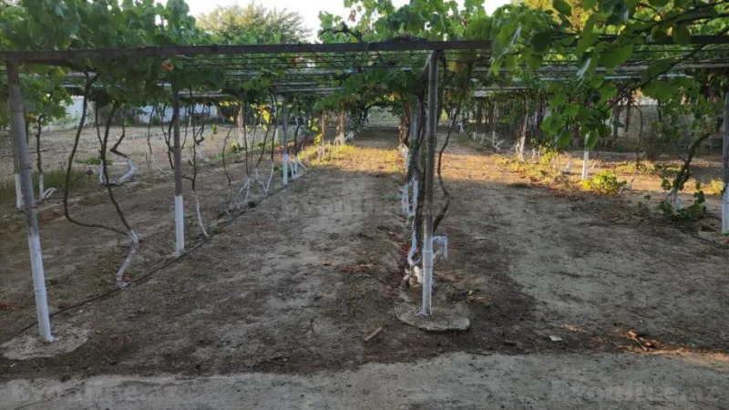 Satılır Torpaq 24 sot Sabunçu r. - şəkil 7